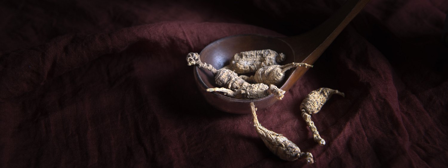 Wild Ginseng - Short