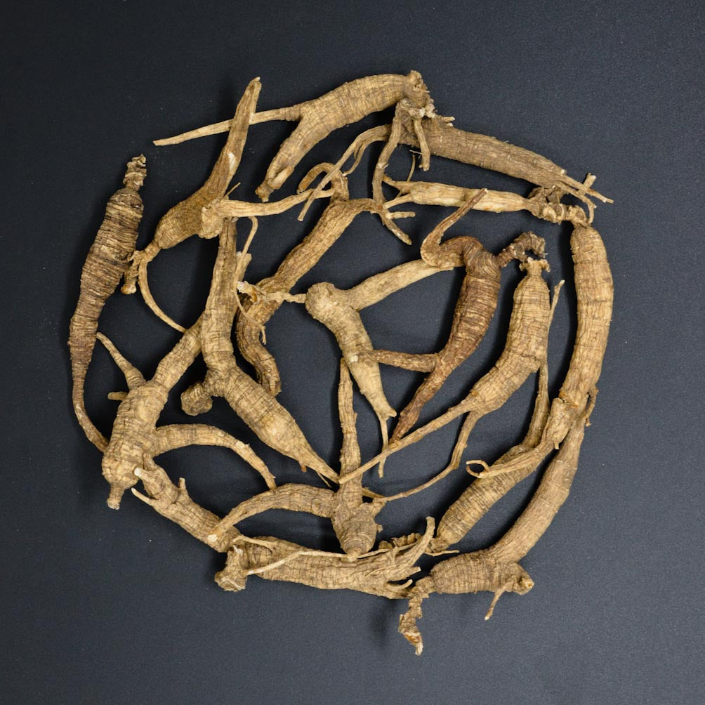 #86 Nhân Sâm Hoang Dã Nửa Ngắn Lớn