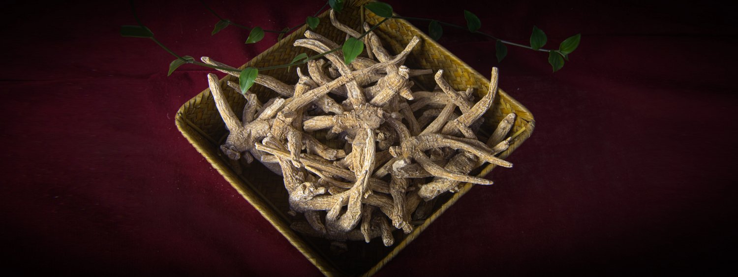 Wisconsin Ginseng - Others