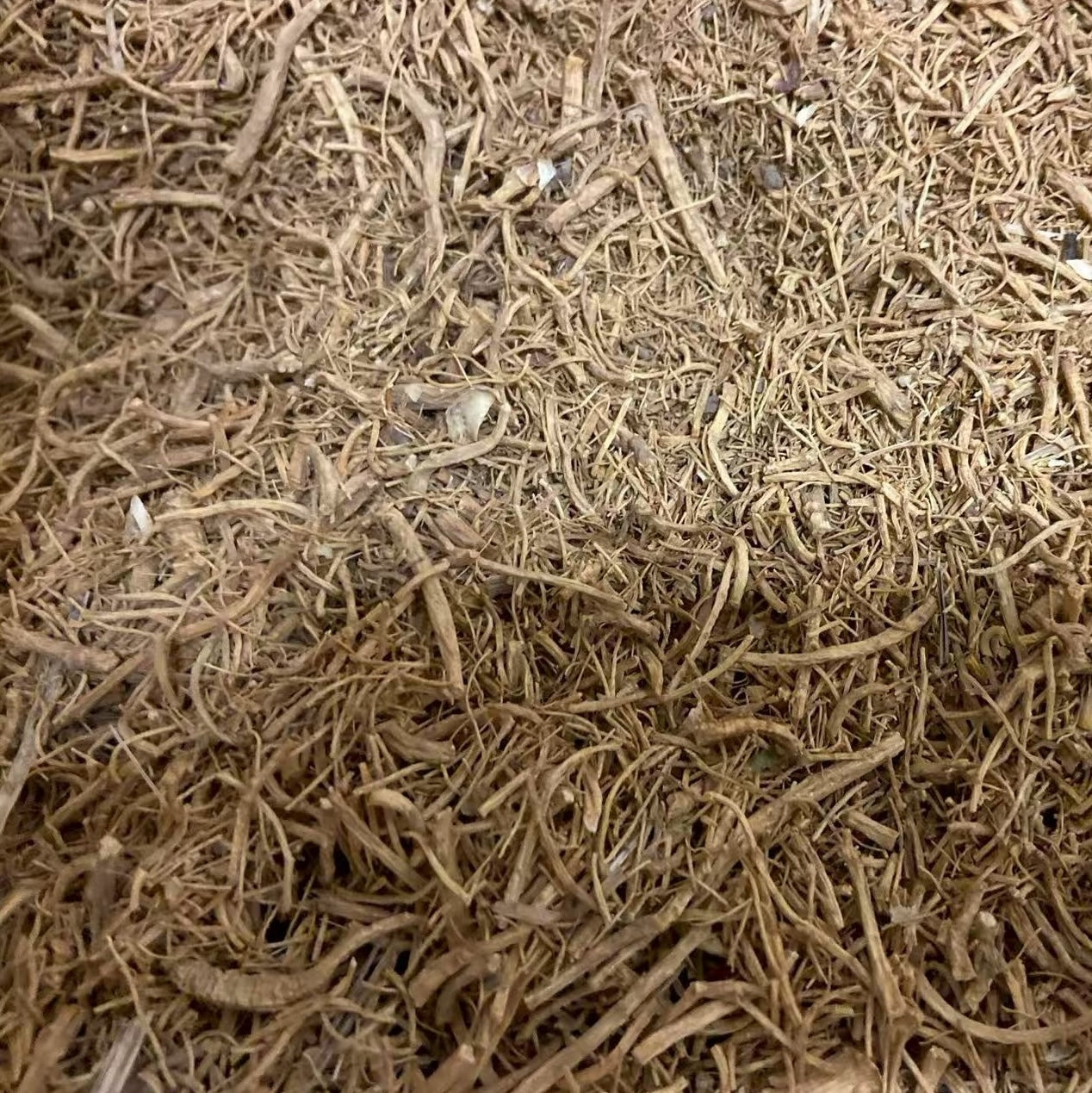 #59 Wisconsin Ginseng Fibers (RAW STATE)
