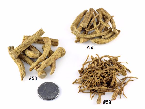 #55 Wisconsin Ginseng Small Prongs