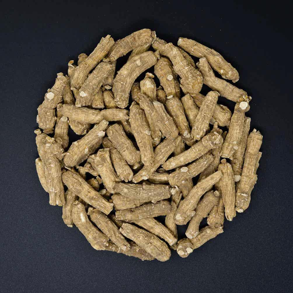 #23 Wisconsin Ginseng Half Short - Large